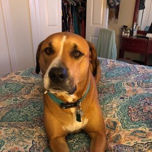 Meet your Posher, Candy